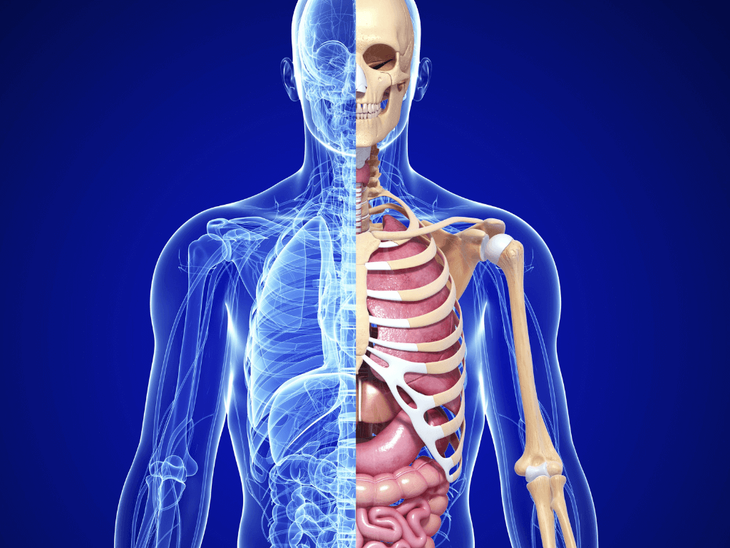 myofascial realese